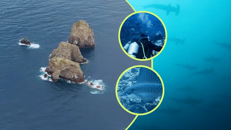 Este es uno de los lugares para hacer buceo más peligrosos del mundo. Capturas de pantalla de video del canal de YouTube Alpha Expeditions.