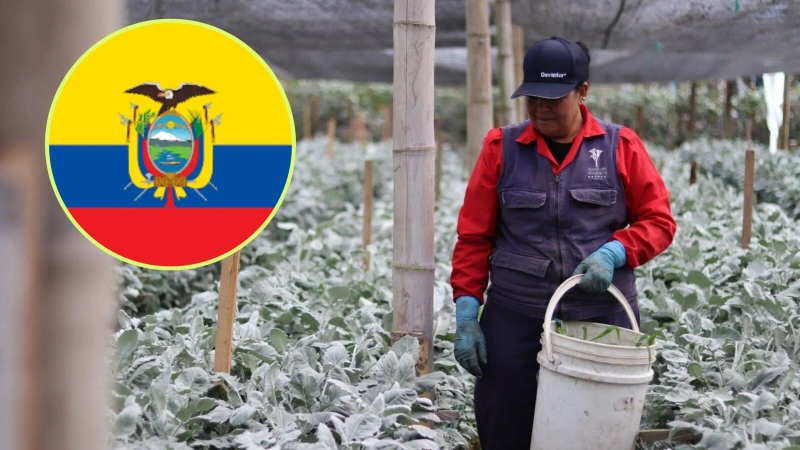 Las ventas externas del departamento se redujeron en el primer trimestre, pasando de 56 millones de dólares a 46 millones. Foto: cortesía
