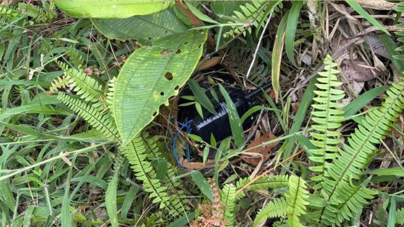 Los explosivos estaban instalados sobre un camino que conecta la vereda La Soledad con el casco urbano de Anorí. Foto: cortesía Ejército Nacional