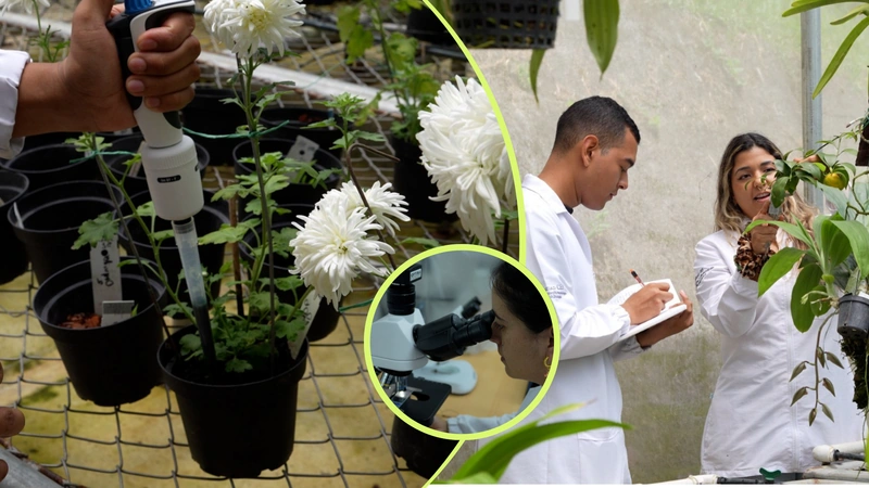 Investigadores de la Universidad CES desarrollan en Medellín un biofertilizante elaborado con microalgas. Fotos: Alcaldía de Medellín