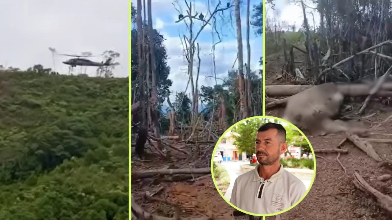 Freddy Alexander Pineda denunció que el bombardeo contra el Clan del Golfo en Amalfi terminó matando a muchas de sus vacas. Foto: Screenshot
