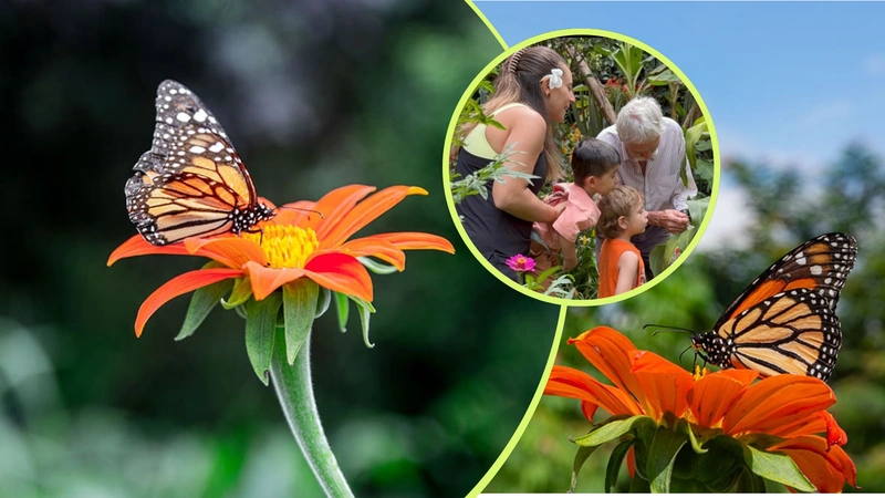 El Parque de las Mariposas de Envigado protege polinizadores en medio de la ciudad. Fotos: Vivir en el Poblado