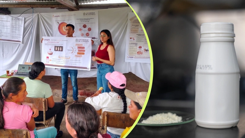 Investigación de la UdeA transforma el mucílago de café en ingrediente para un yogur funcional. Fotos: UdeA