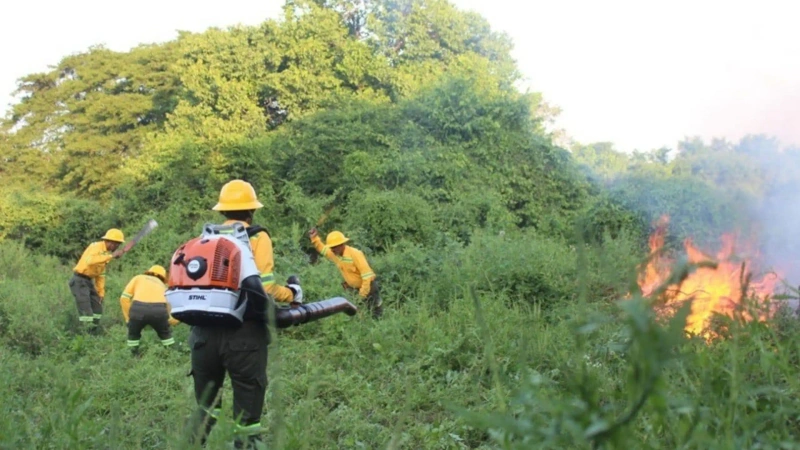 Según el Ideam, Antioquia no tiene alerta roja por incendios, pero Fredonia y Santa Bárbara están en naranja. Foto: cortesía