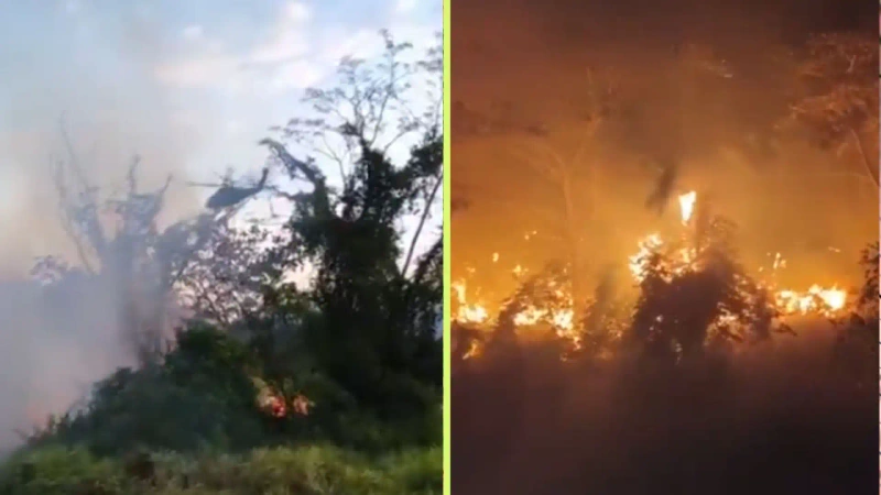 Cuerpos de Bomberos de otras regiones del país se han desplazado hasta el Tolima para apoyar en las labores de extinción de las llamas. Fotos: tomadas de X @Rodrigo_Lara_