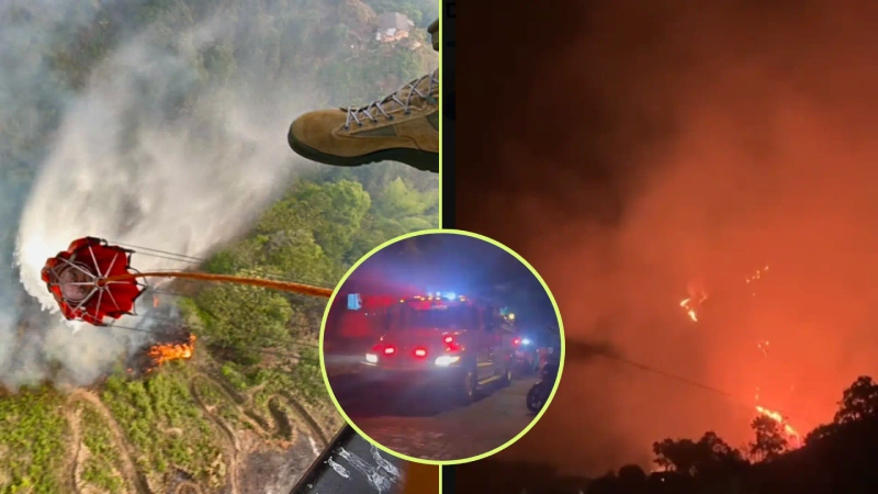 Abejorral, Rionegro, Guarne y Medellín enfrentan emergencias por incendios de cobertura vegetal. Fotos: cortesía