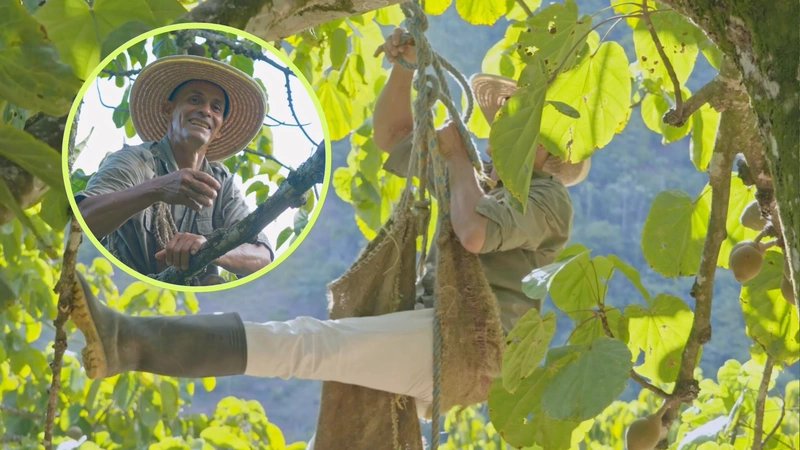 Vea El Campo según Tano los domingos a la 1:45 p.m. Fotos: Teleantioquia