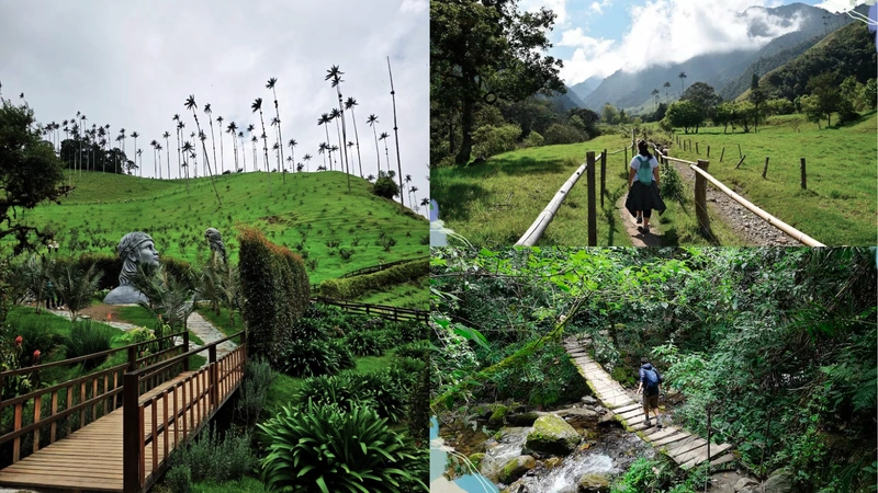 Conozca qué hacer el Valle del Cocora. Fotos: Cocoratours y Mochileando por el Mundo.