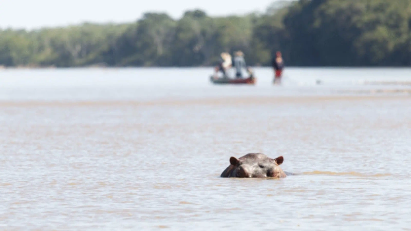 Los corredores de los ríos Nare y Magdalena también forman parte de las rutas habituales de pescadores artesanales y comunidades ribereñas del Magdalena Medio antioqueño. Foto: cortesía