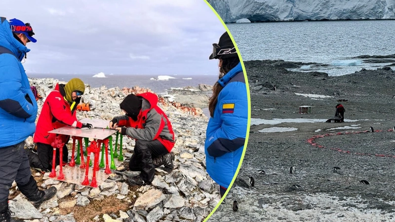 Investigadores colombianos instalaron y probaron en la Antártida un radiotelescopio desarrollado para buscar la débil señal de 21 centímetros asociada al universo primitivo. Foto: Proyecto Cantar- UdeA