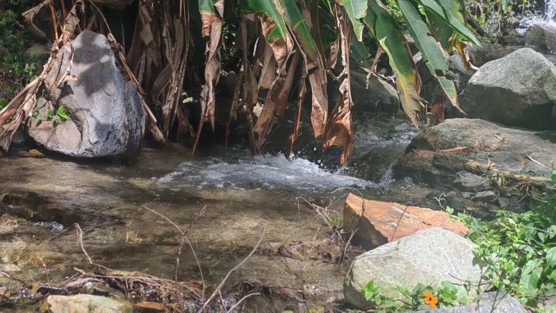 La reducción de las lluvias disminuyó los caudales de las quebradas que abastecen el sistema de Piedras Blancas. Foto: cortesía EPM