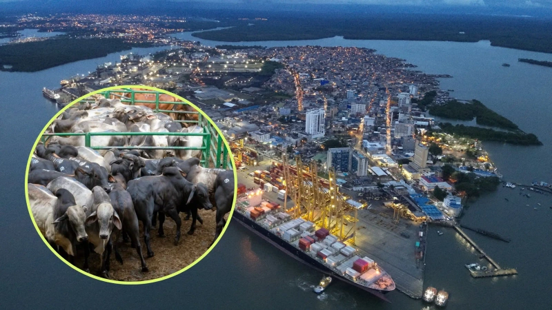 El gobierno de Abelardo De La Espriella cuestionó la medida adoptada sobre el Puerto de Buenaventura y, a través del Ministerio de Transporte, pidió evaluar nuevamente la decisión. Fotos: cortesía