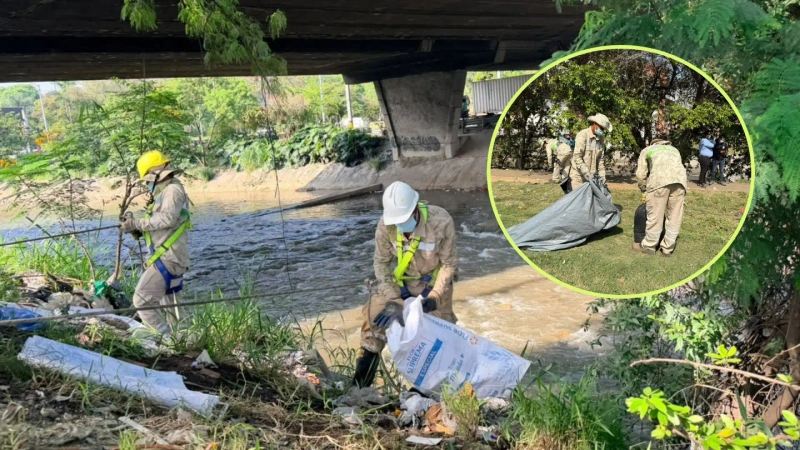 Los trabajos incluyen limpieza de zonas verdes y áreas aledañas al cauce, recolección de residuos y desmonte de cambuches. Fotos: cortesía Alcaldía de Medellín