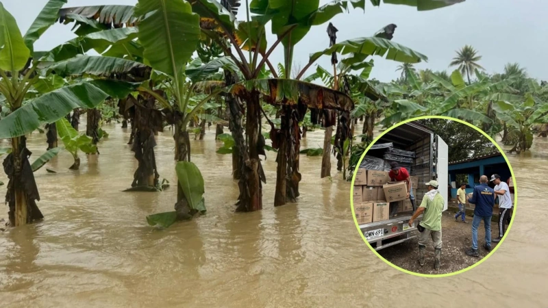 Más de 1.000 familias resultaron afectadas por las lluvias en varios municipios de Urabá. Fotos: cortesía