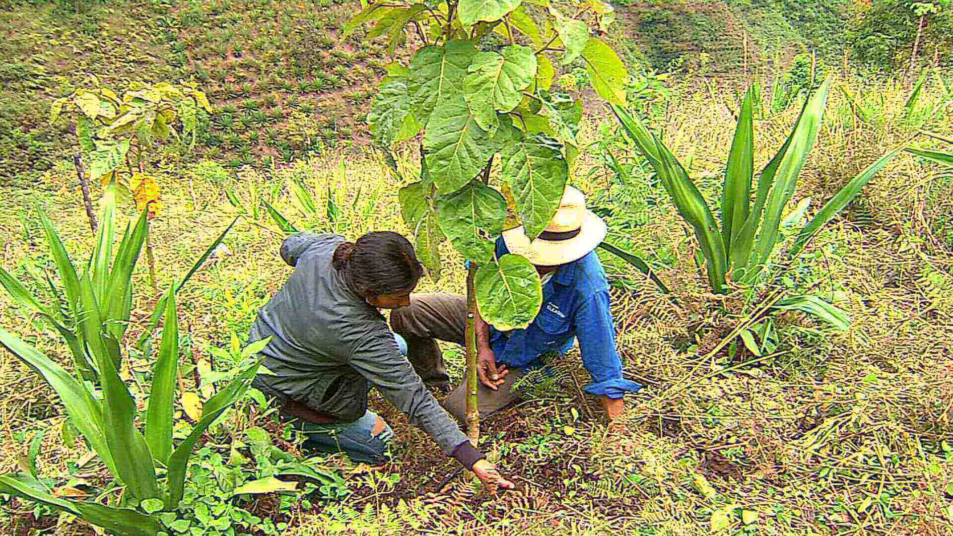 Buscan potenciar exportaciones agrícolas