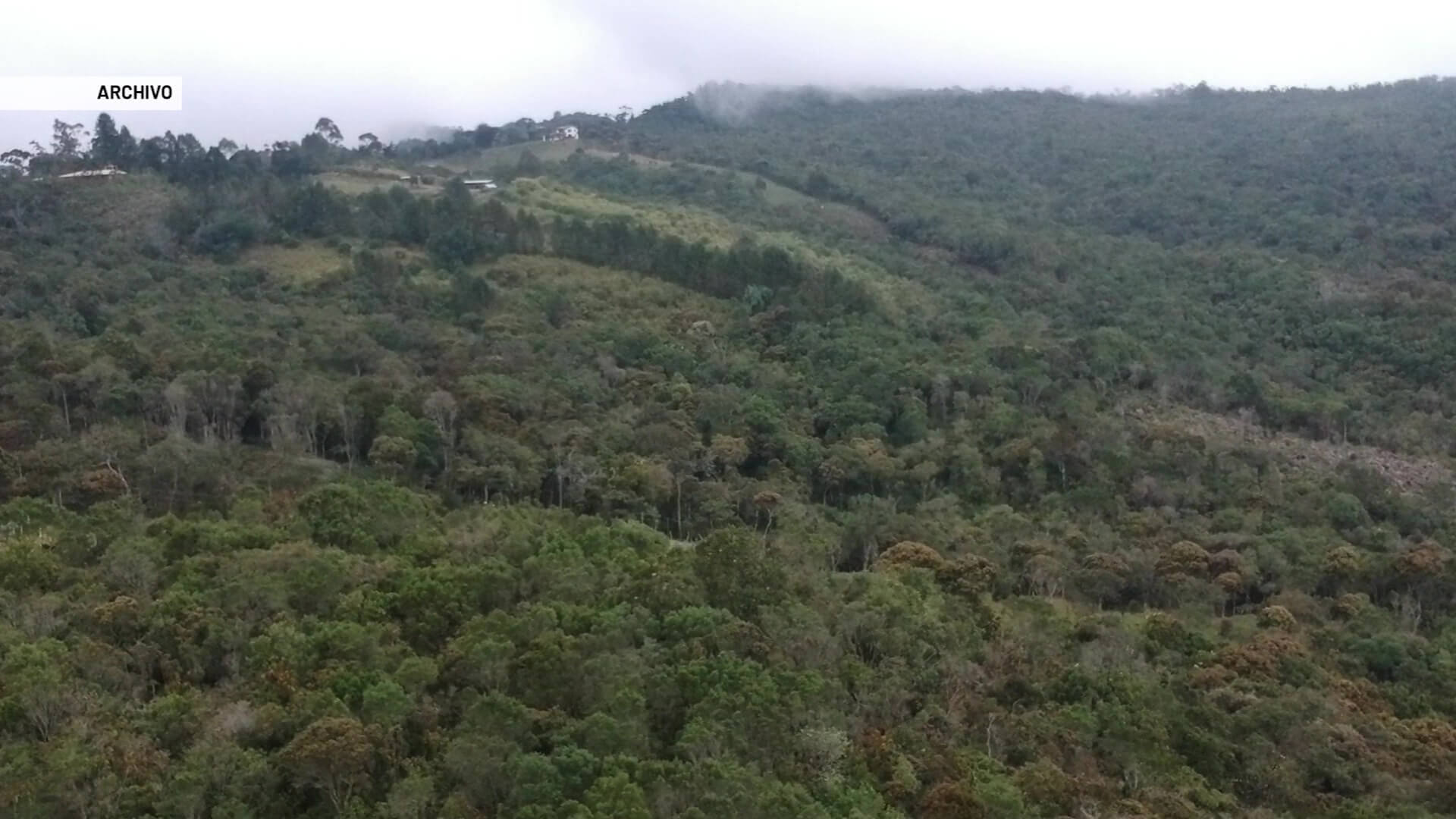 Conservación de más de 42 hectáreas de bosques nativos