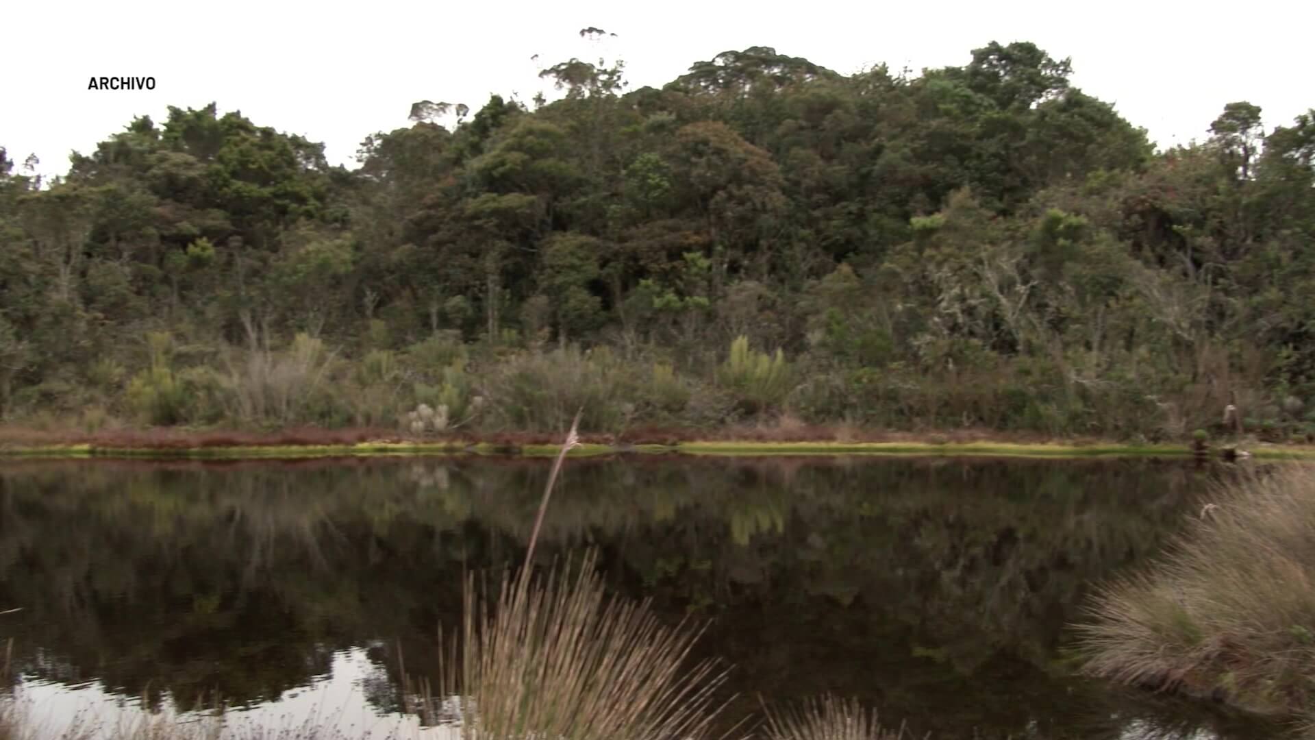 Abierta convocatoria para preservar los humedales