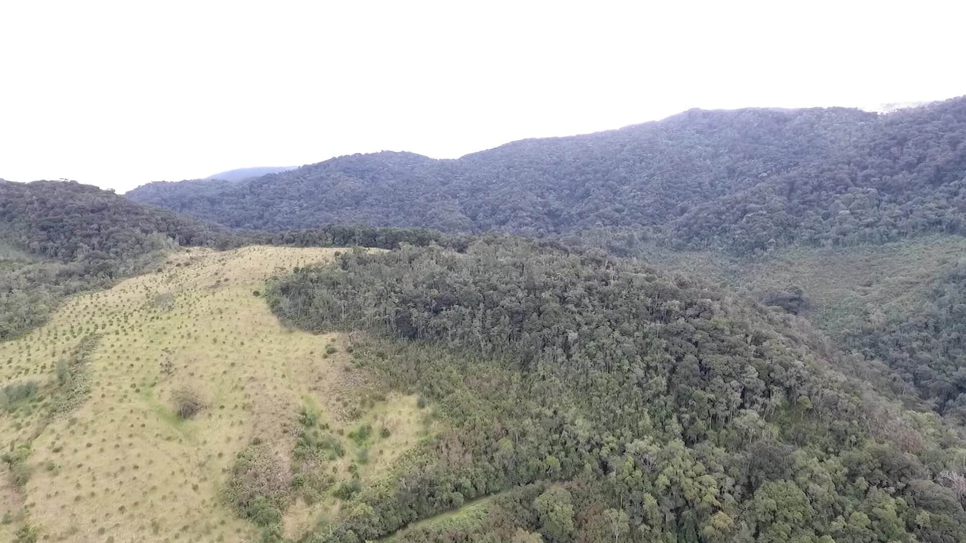 Acciones para la preservación de fuente hídricas