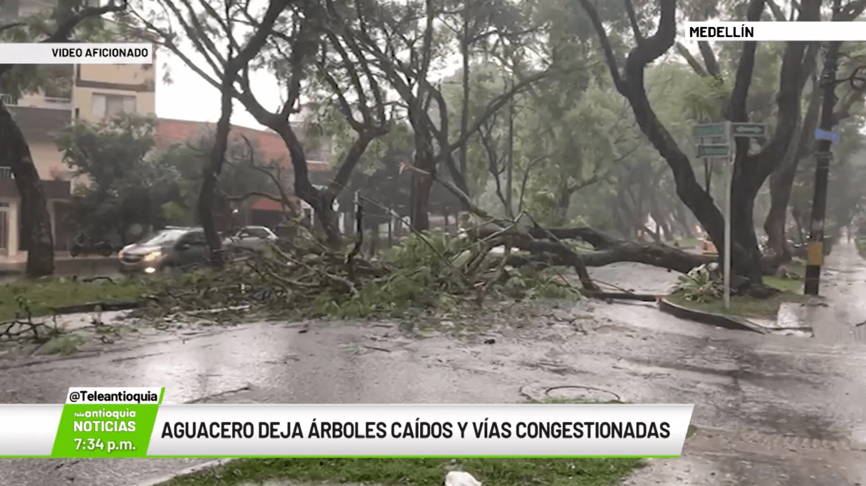 Aguacero deja árboles caídos y vías congestionadas