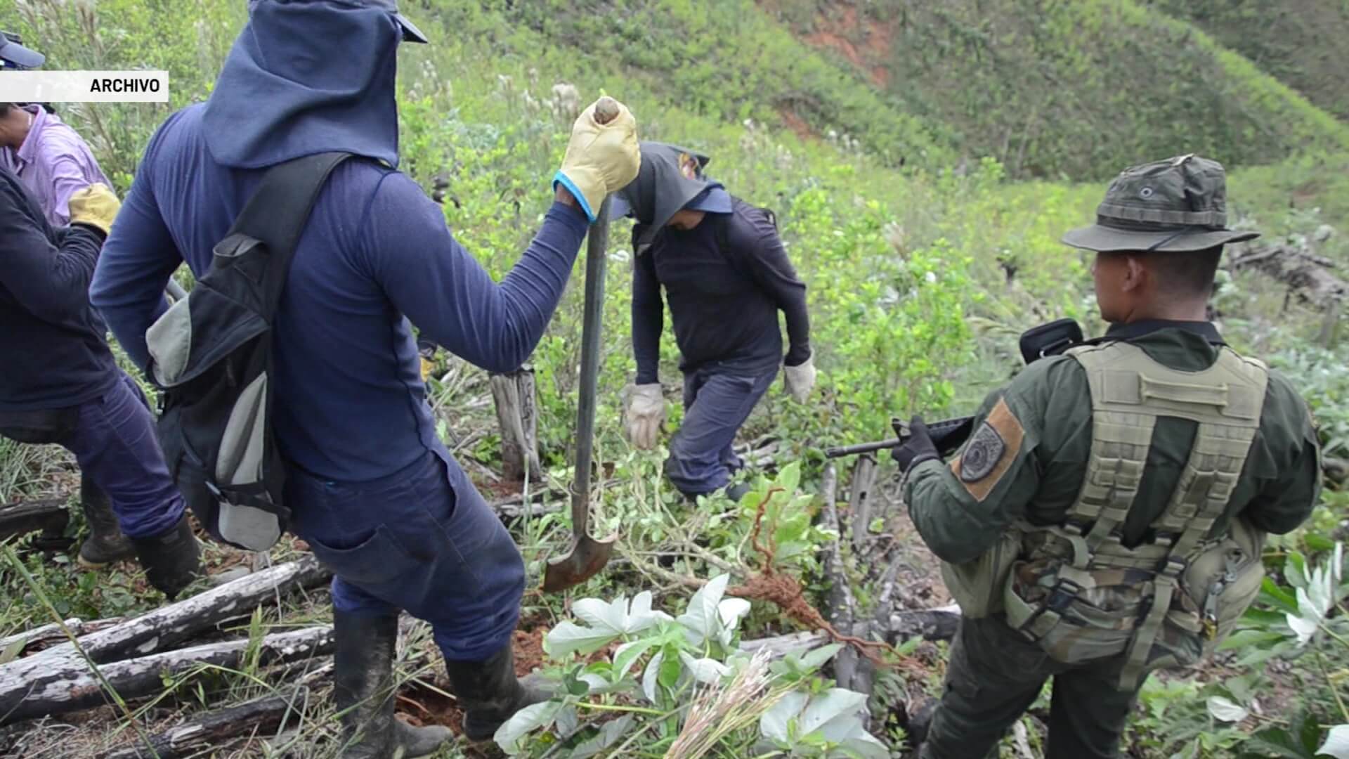 “Aspersión es una violación al acuerdo de paz”: Coccam