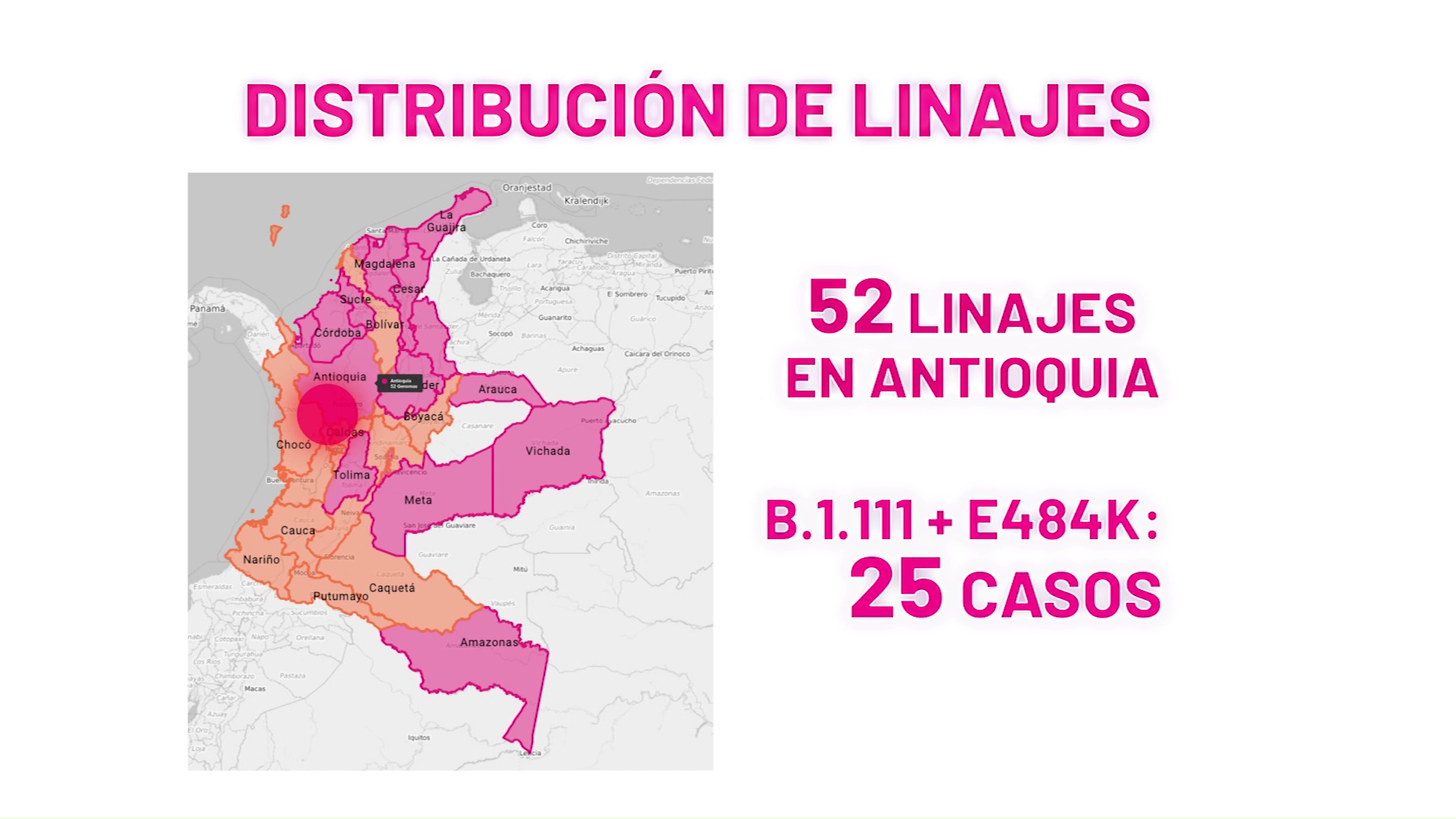 Búsqueda activa de nuevas variantes