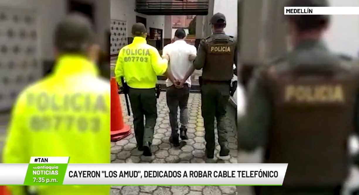 Cayeron «Los Amud», dedicados a robar cable telefónico