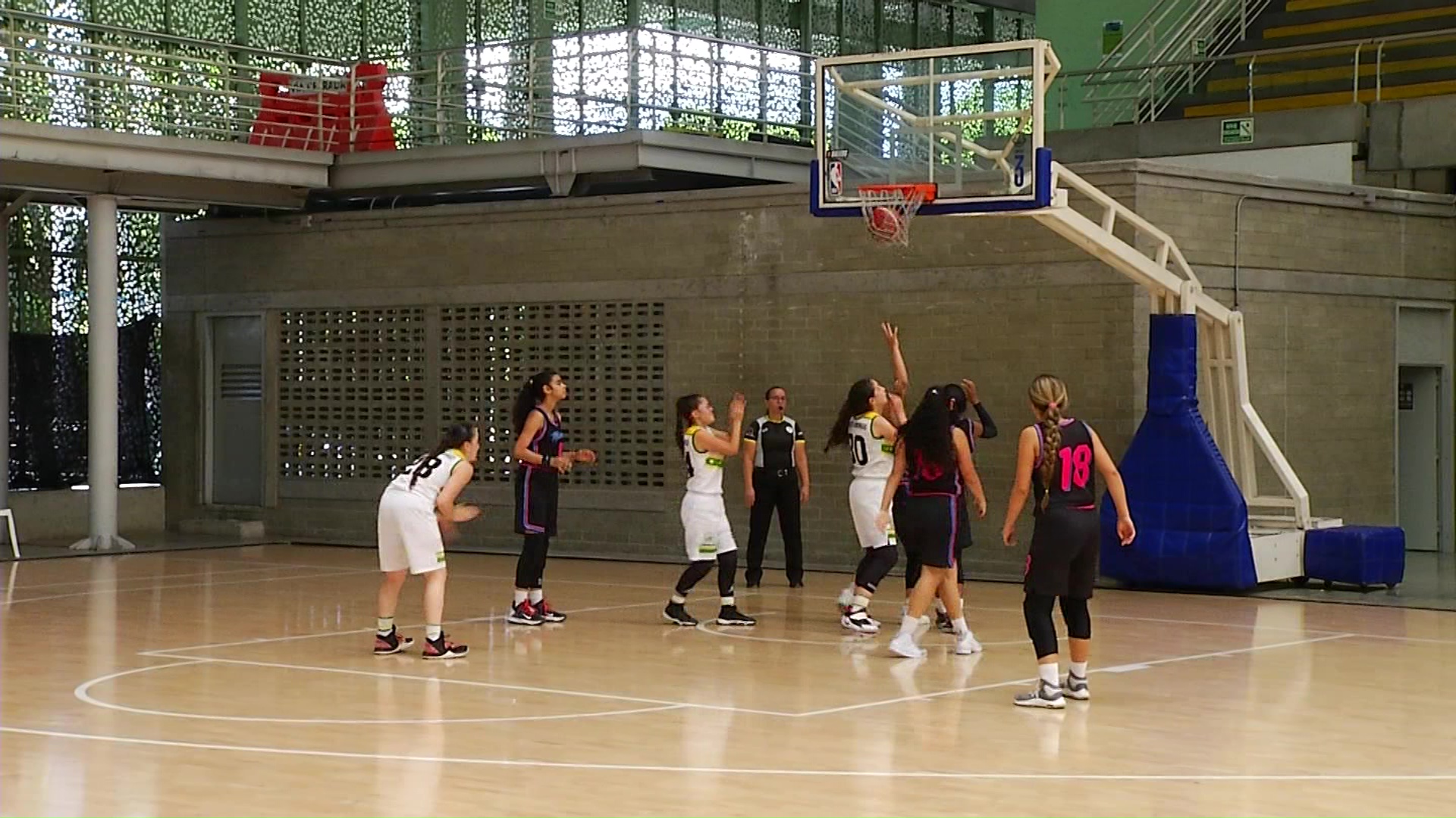 El baloncesto fortalece a Santo Domingo