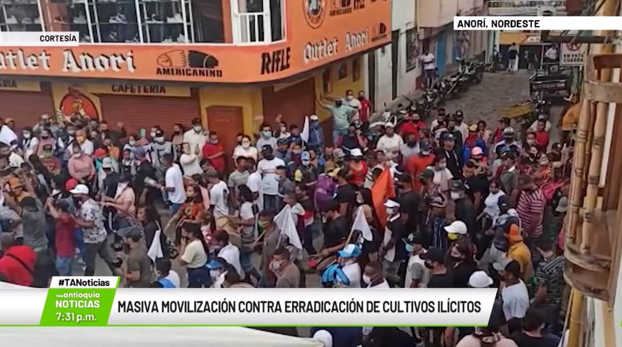 Masiva movilización contra erradicación de cultivos ilícitos en Anorí