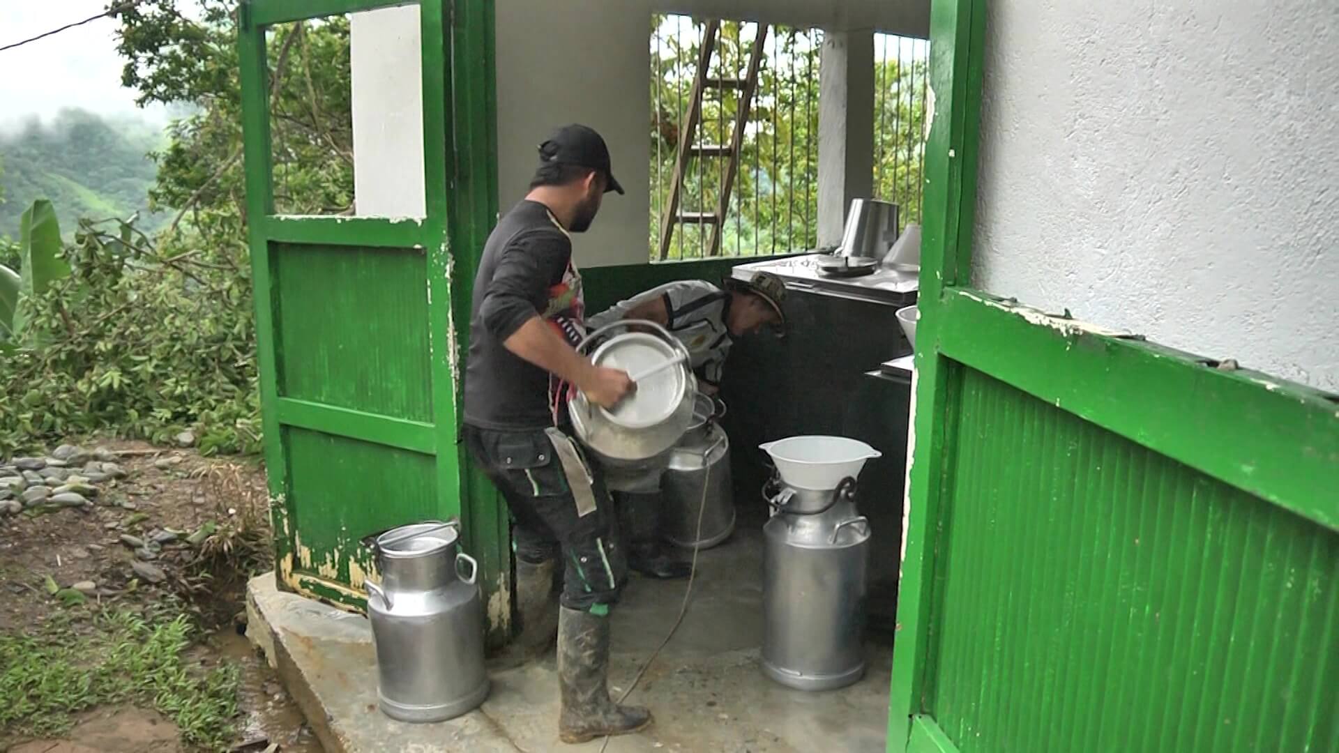 Antioquia busca alternativas para no perder más leche