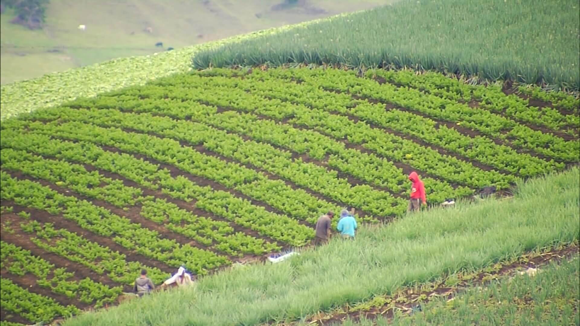 Convenio para una producción agrícola más limpia