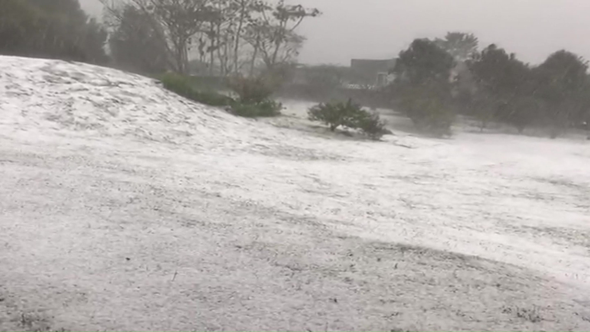 Granizada acabó con 300 cultivos de flores, papa y frutas