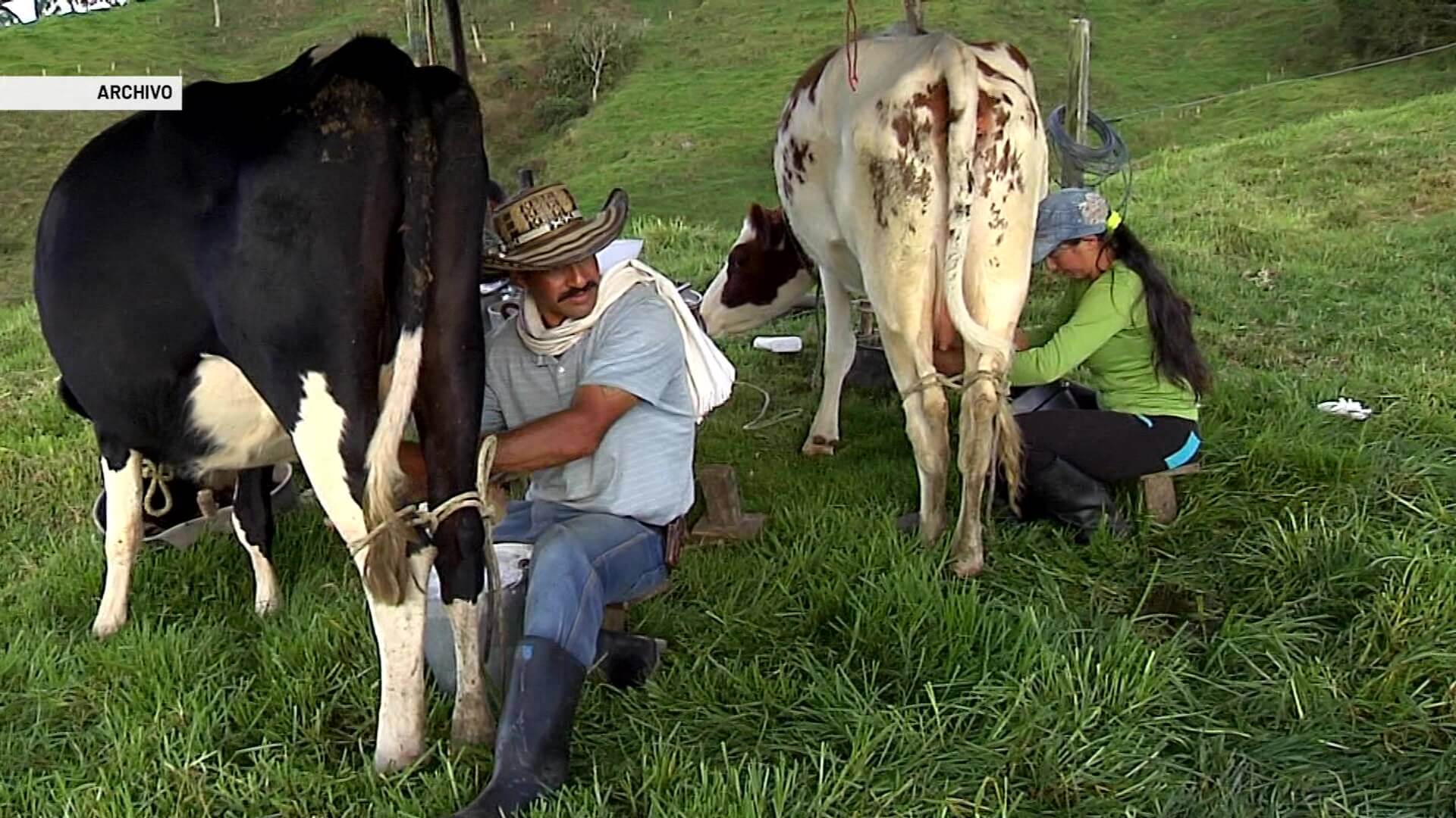 Transportarían leche en aviones de la Fuerza Aérea