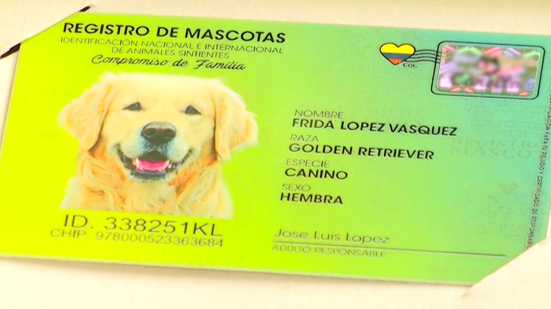60 mil mascotas están registradas en Colombia