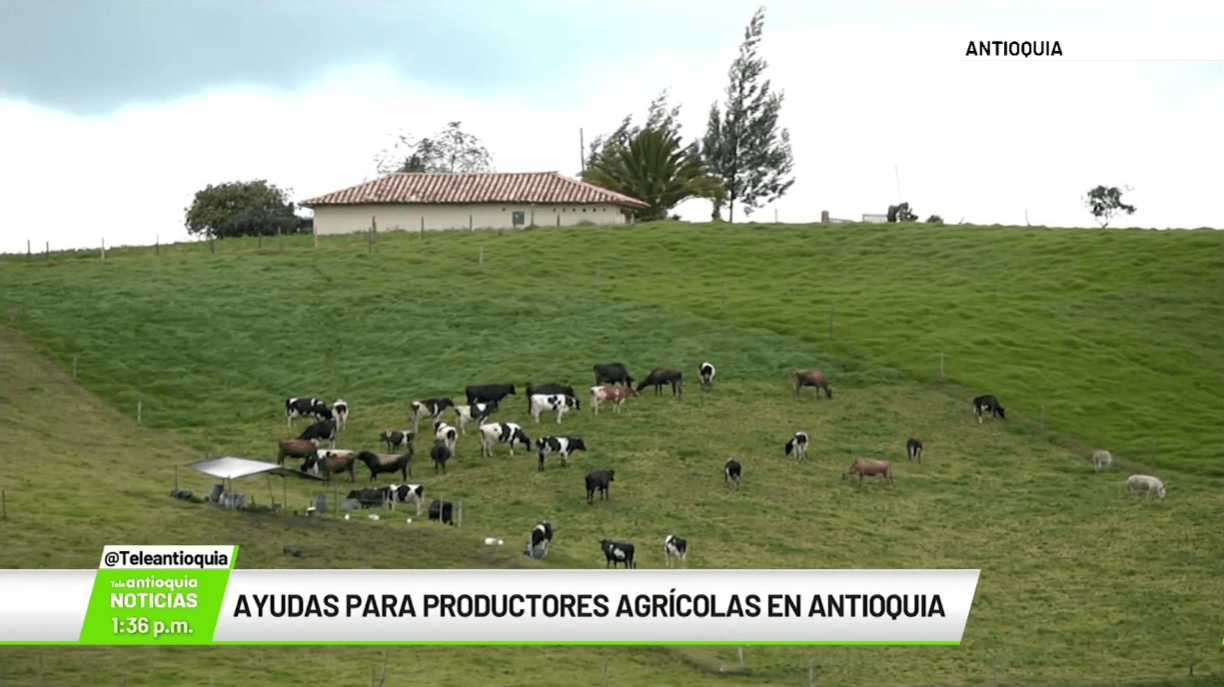 Ayudas para productores agrícolas en Antioquia