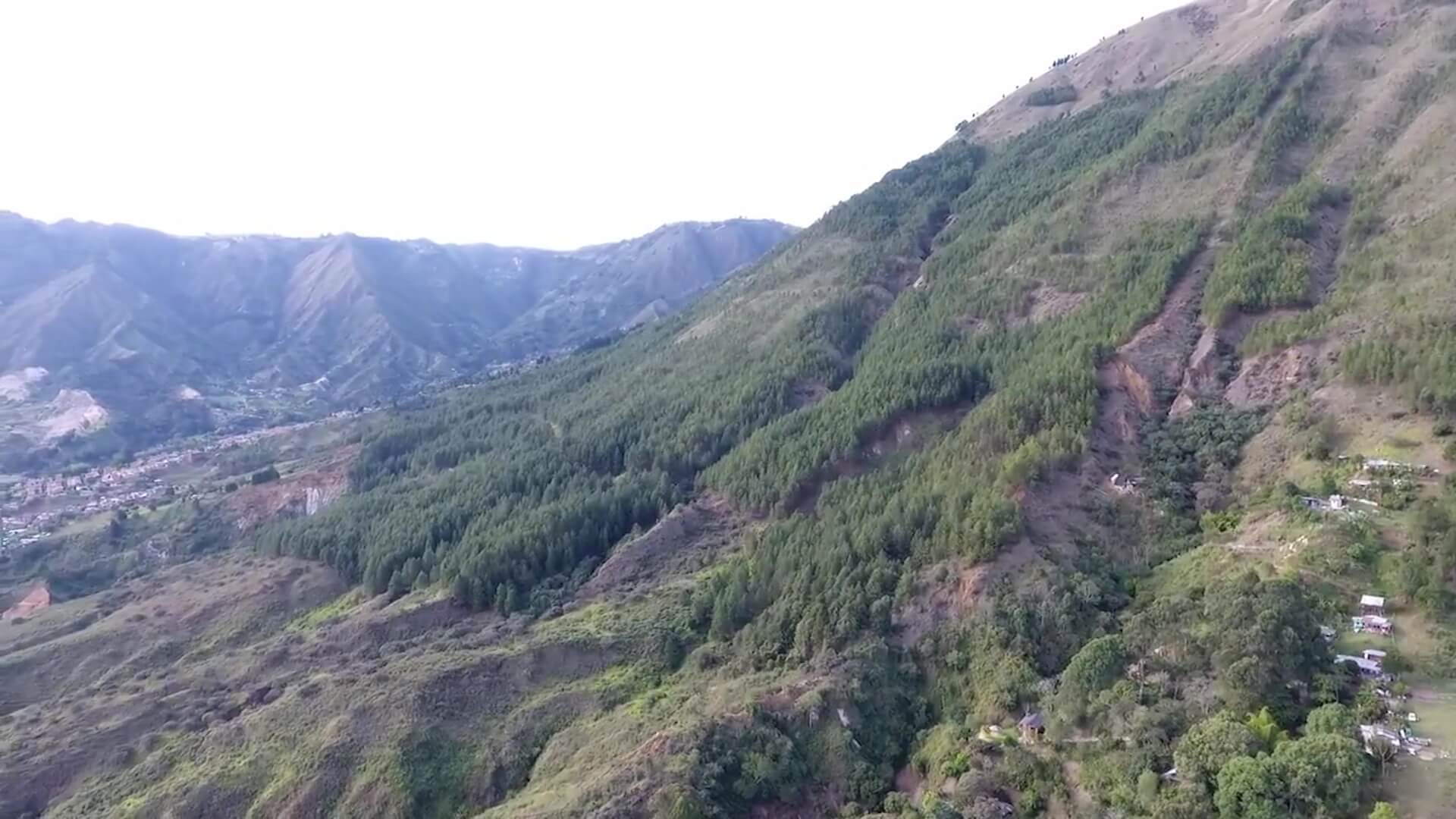 Construirán espacio verde en el Cerro Quitasol