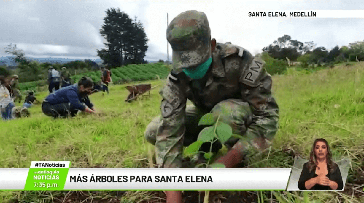 Más árboles para Santa Elena