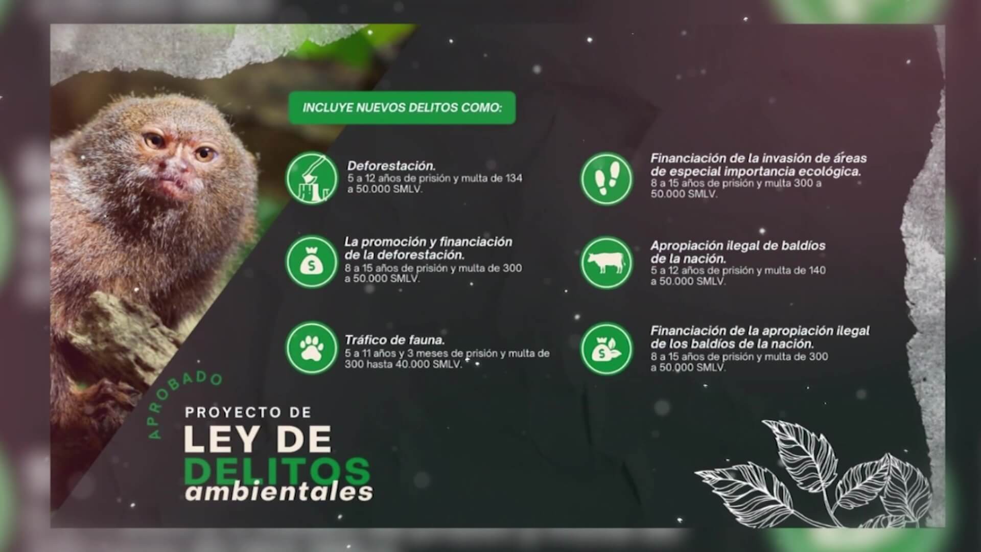 Nueva ley por la defensa de los recursos naturales