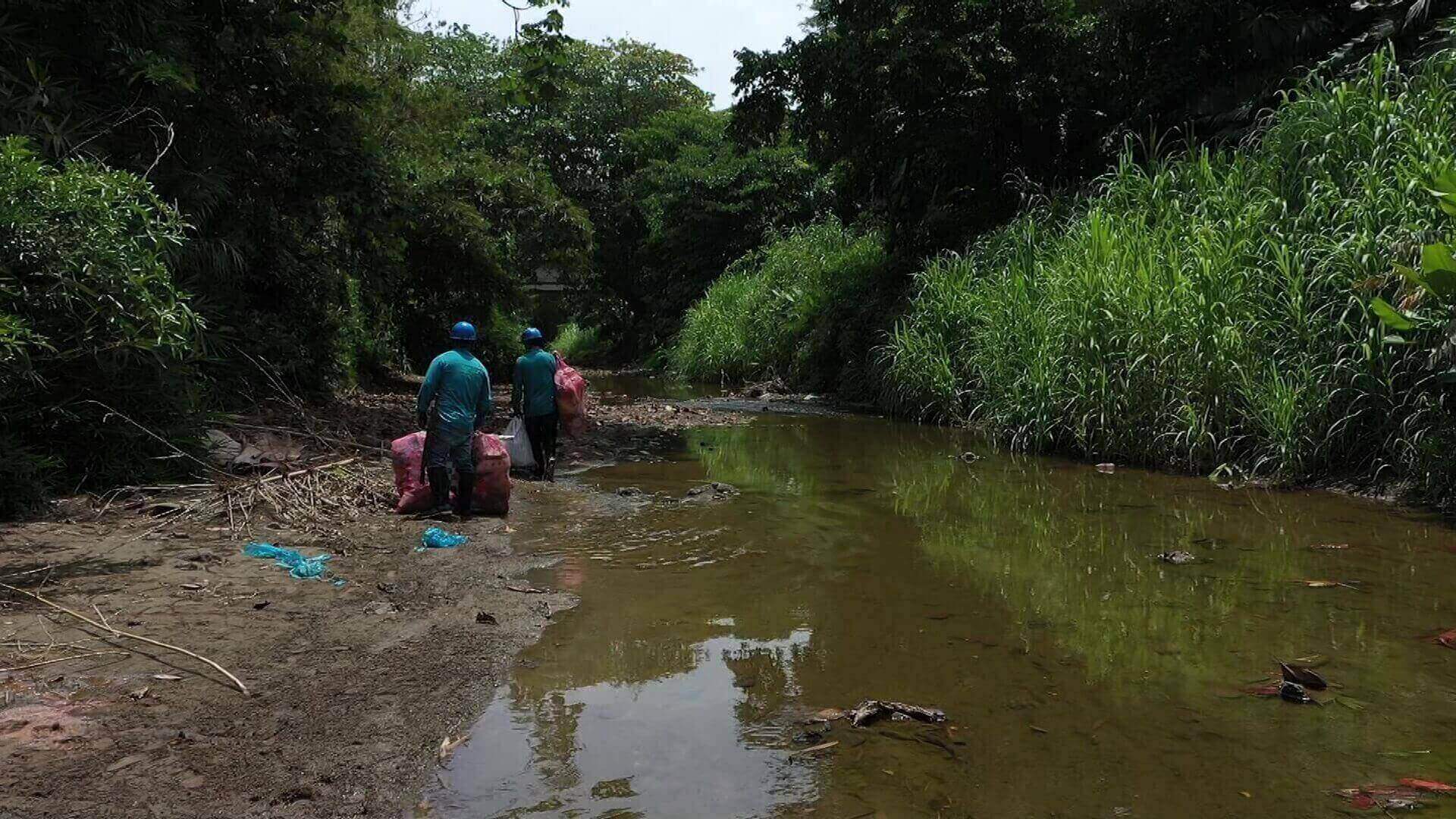 Programa ‘Relimpia’ descontamina ríos y caños en Urabá