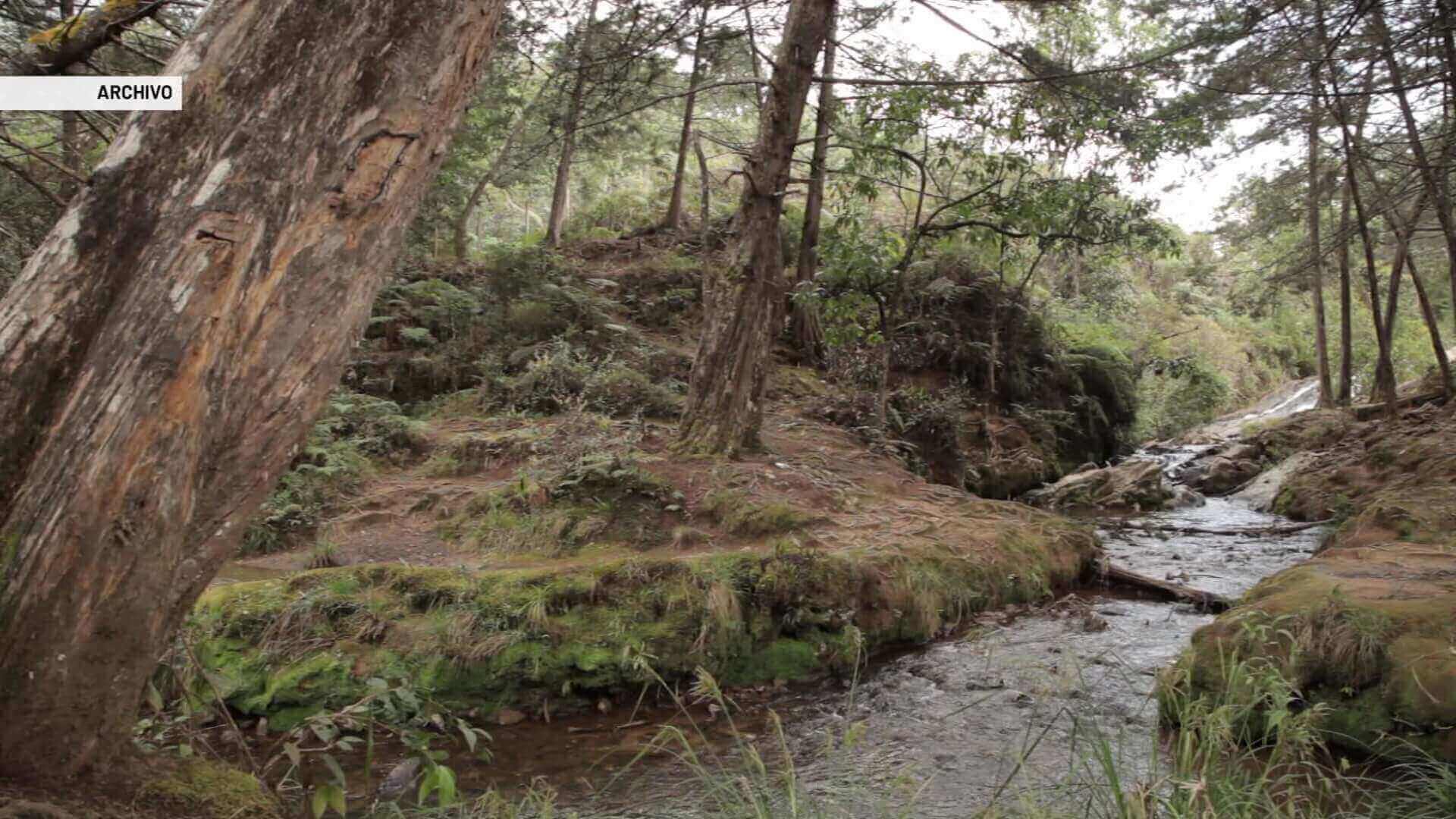 Se hunde proyecto que raficaba acuerdo de Escazú