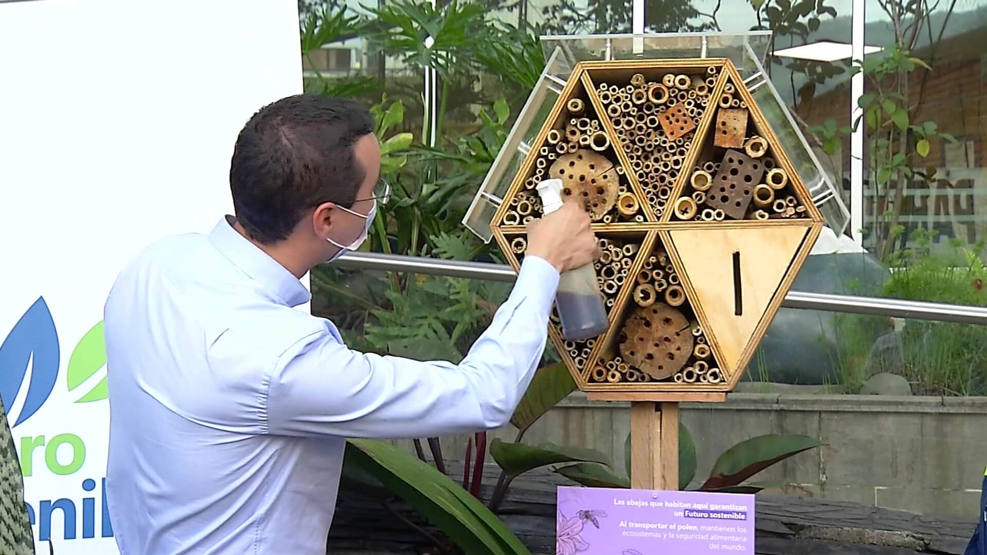 Refugio para abejas en el Valle de Aburrá