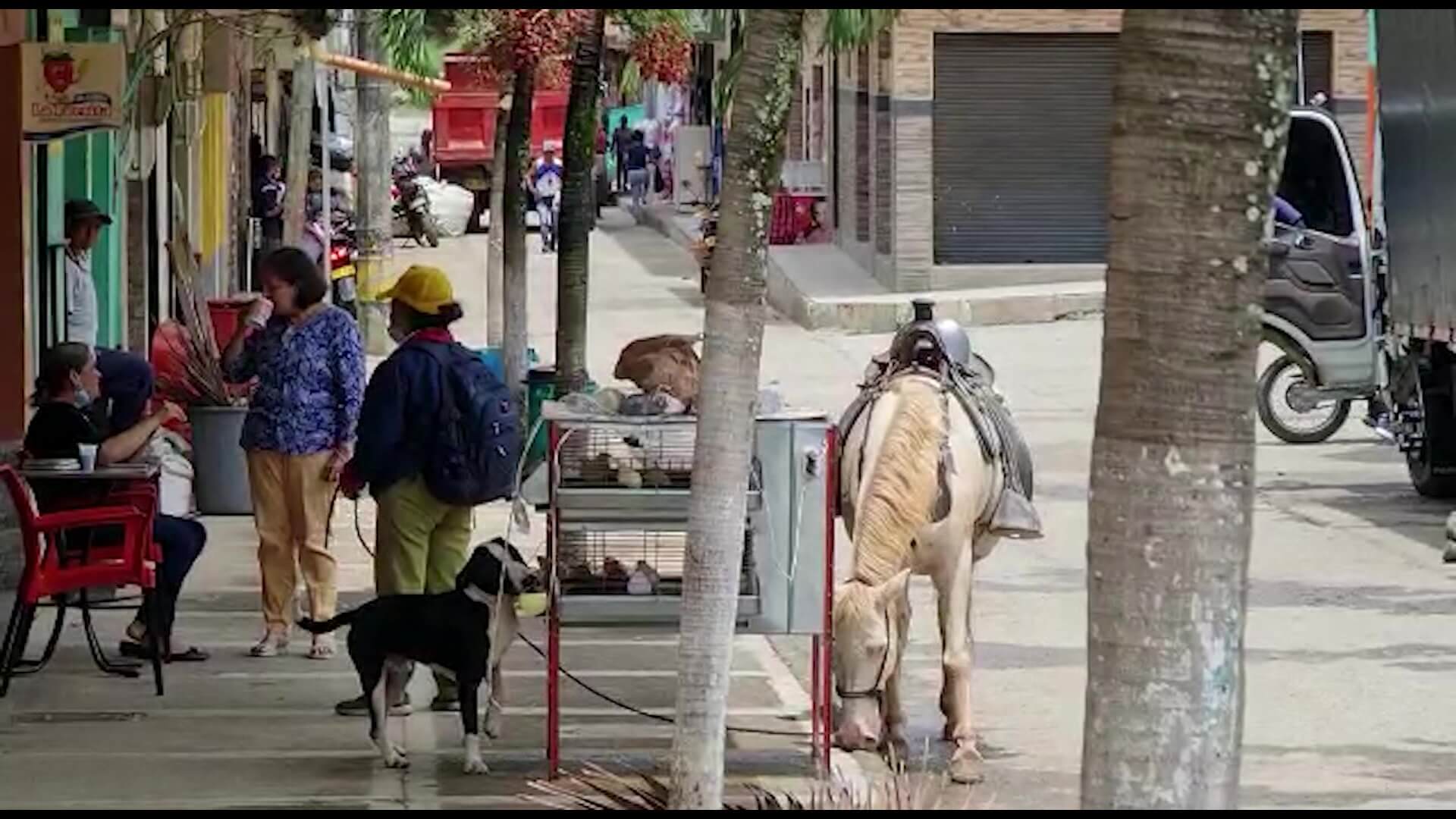 14 familias han llegado a la cabecera municipal de Peque