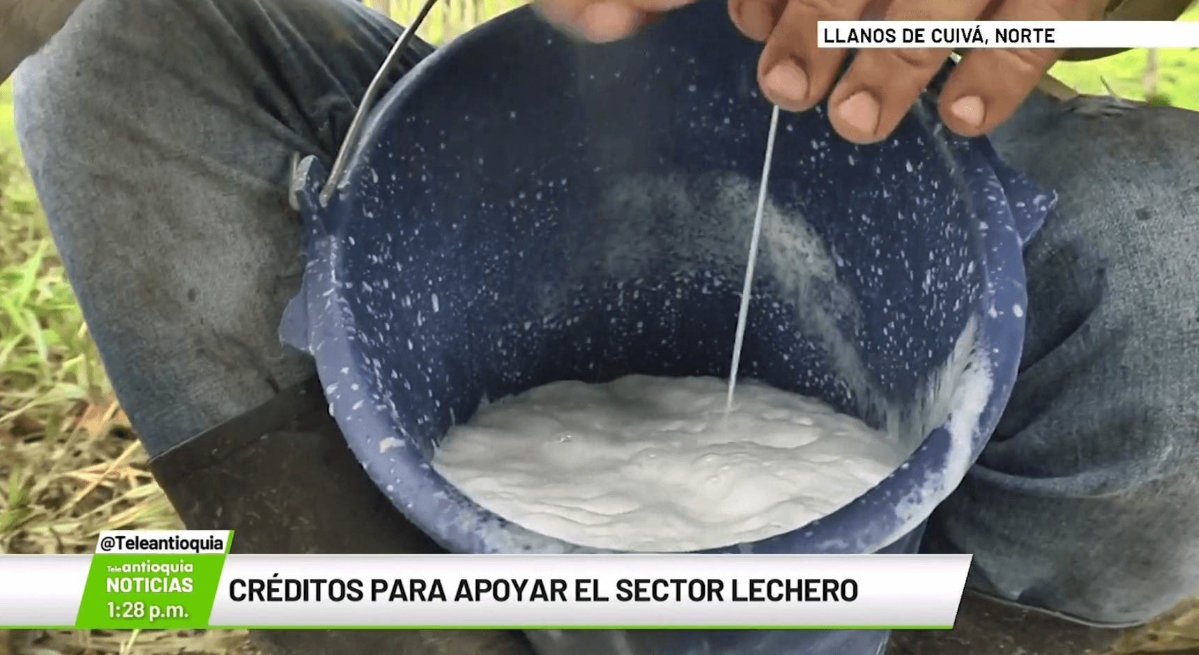 Créditos para apoyar el sector lechero