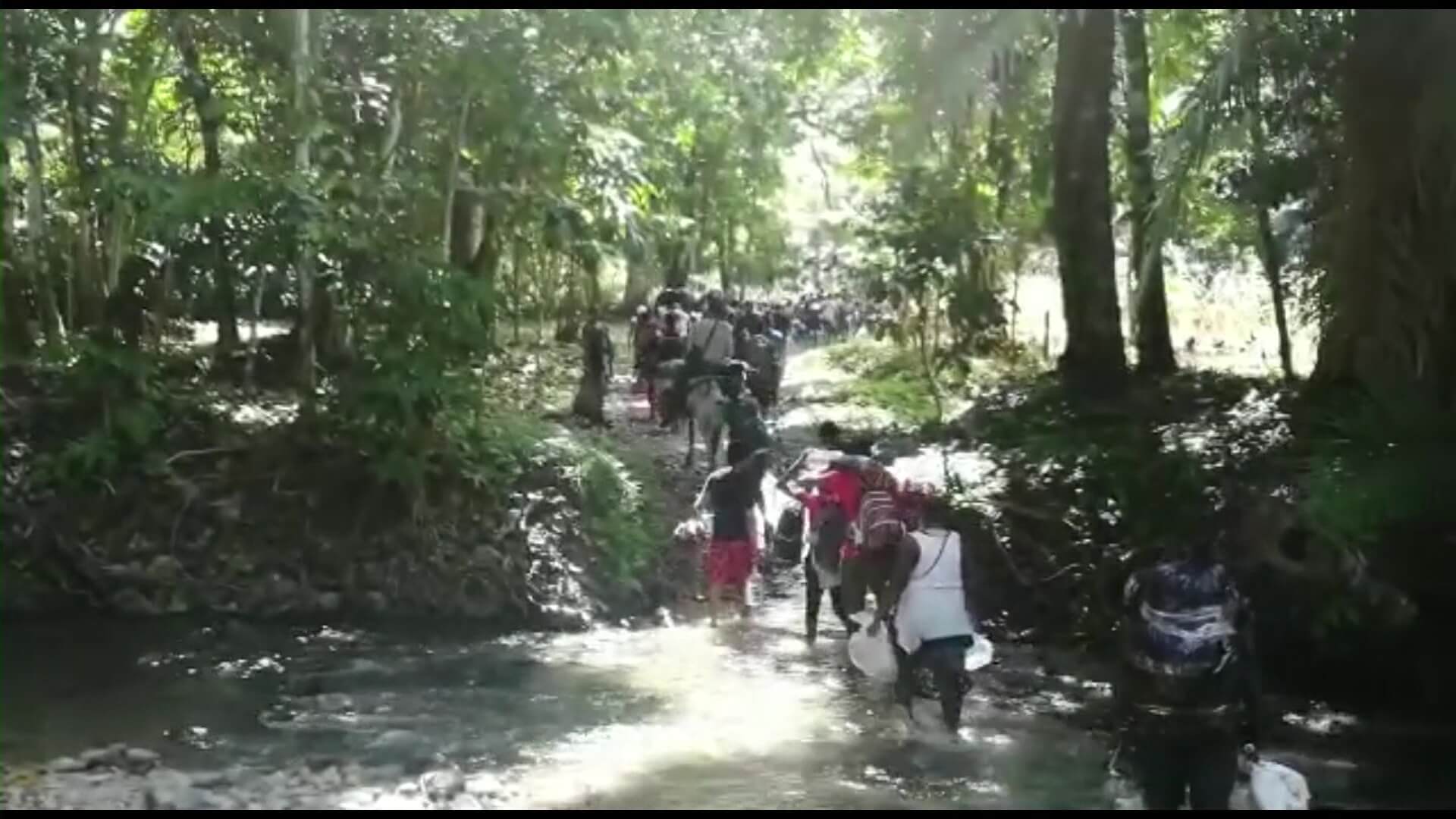 A diario 1.600 migrantes ingresan a las selvas del Darién