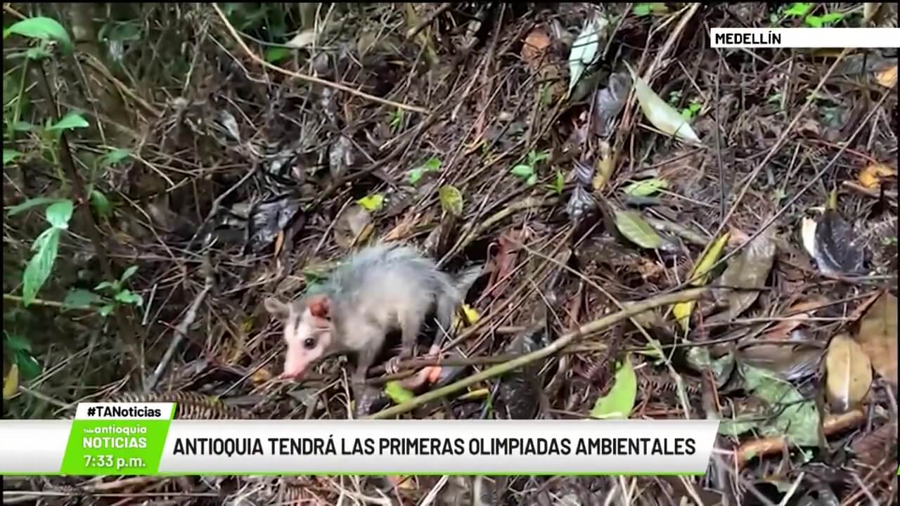 Antioquia tendrá las primeras Olimpiadas Ambientales