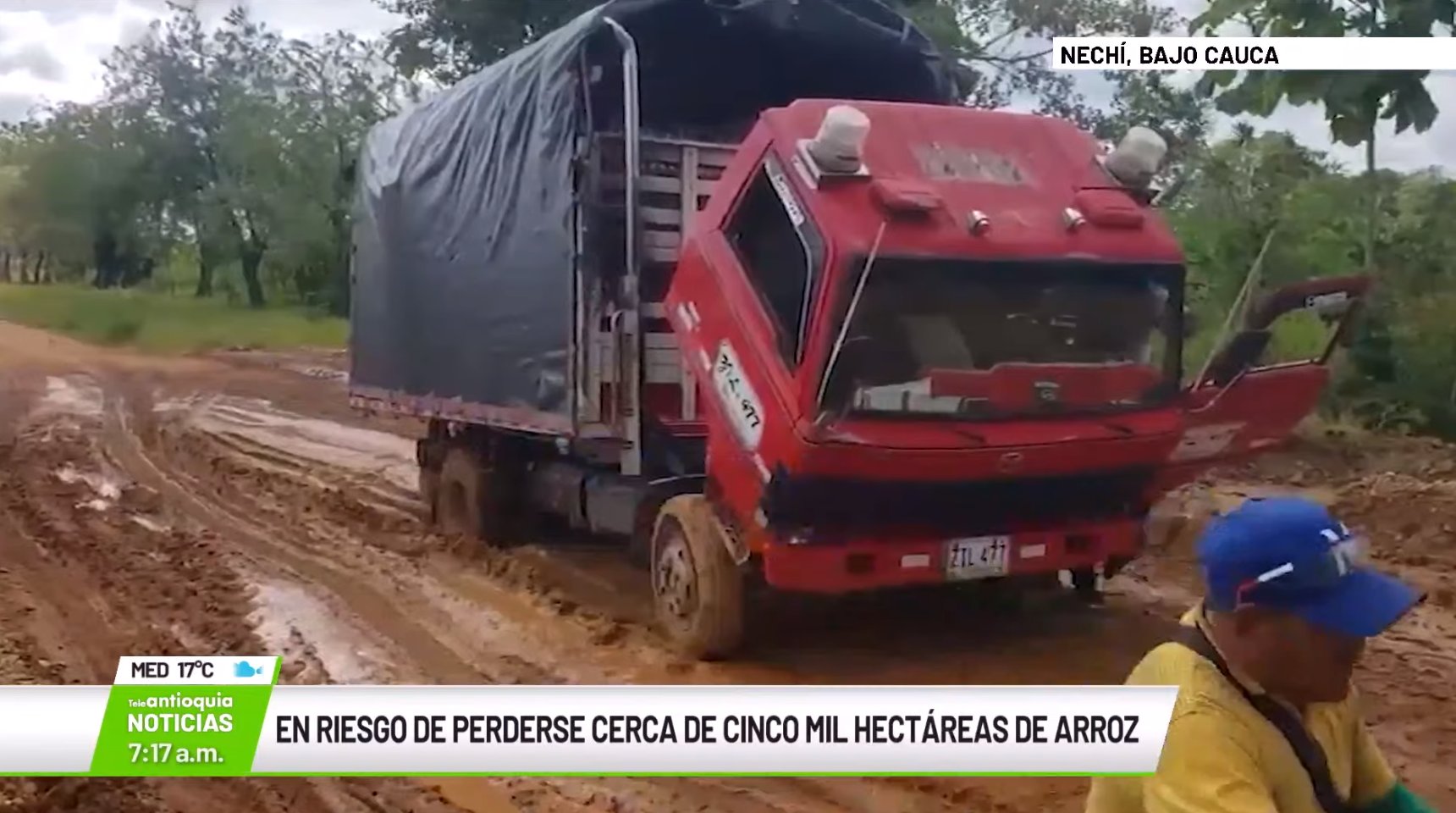 En riesgo de perderse unas cinco mil hectáreas de arroz