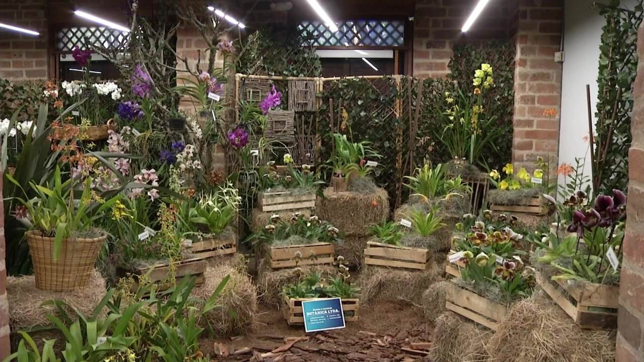 Exposición de flores y orquídeas en el Edificio Vásquez