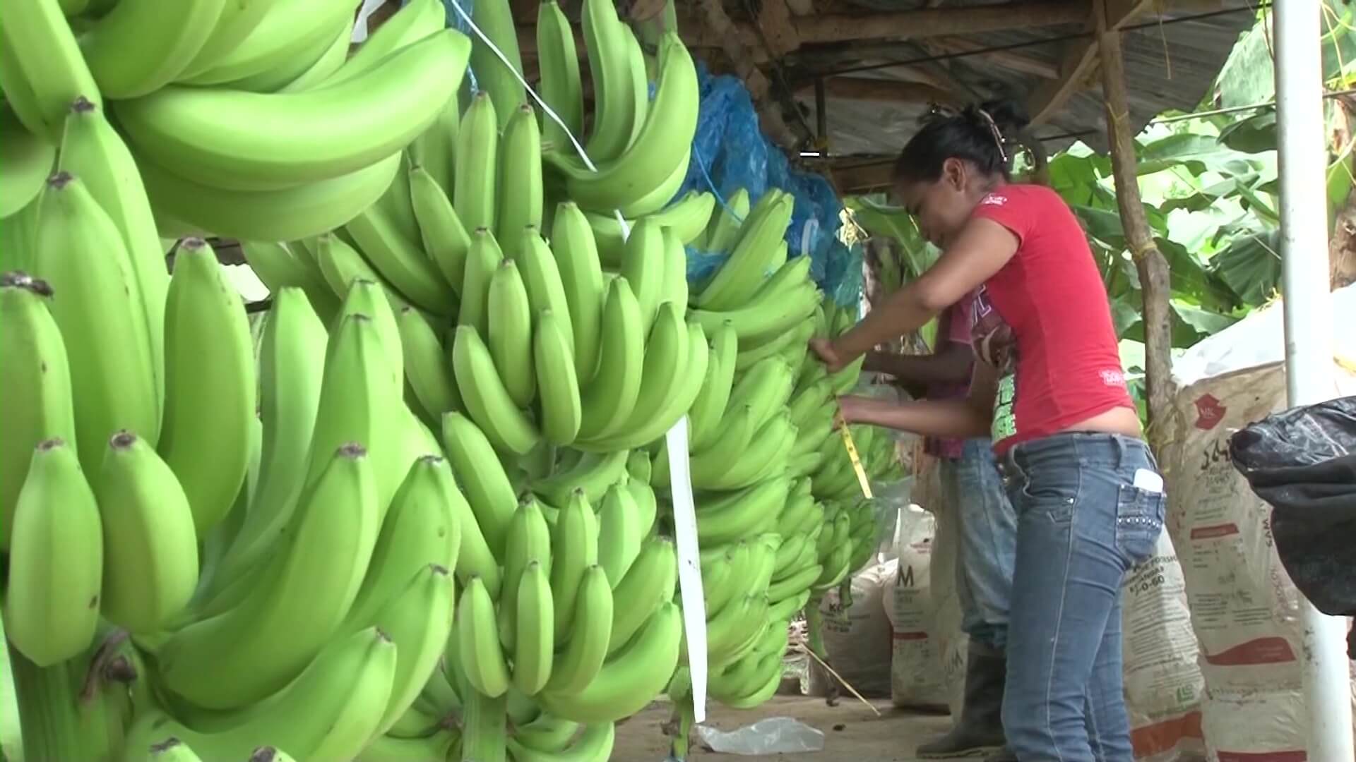 Firman acuerdo que acaba con el anuncio de huelga