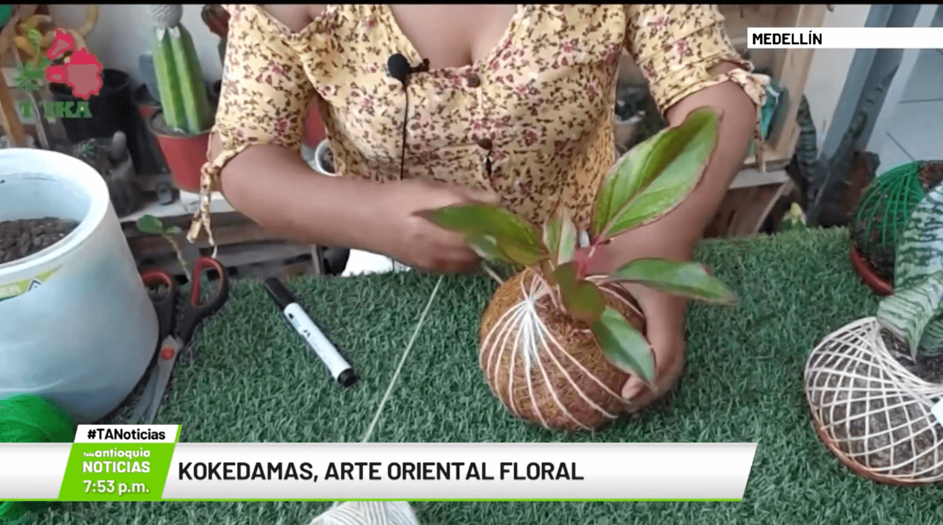 Kokedamas, arte oriental floral