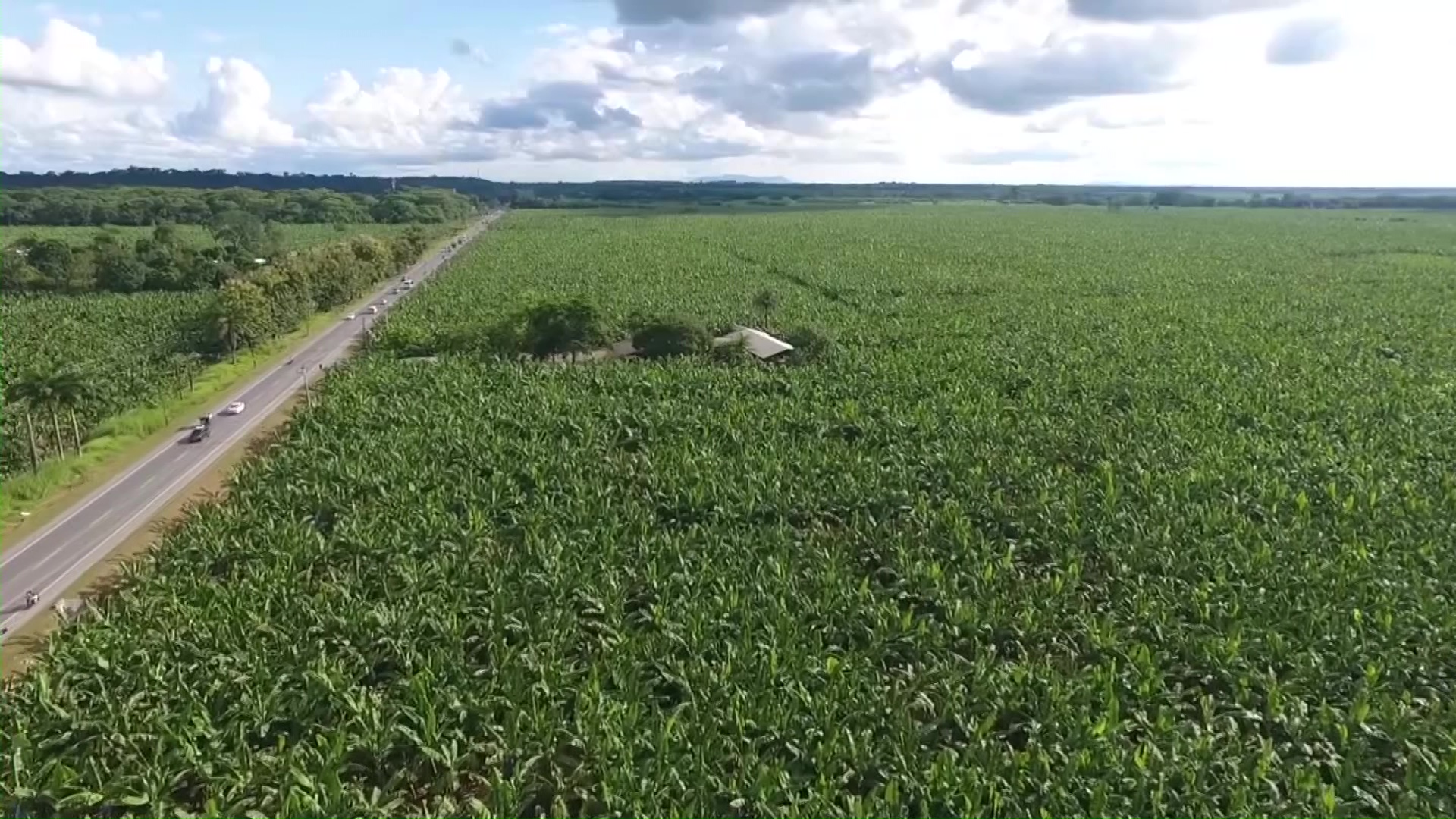 Posible paro indefinido de 14 mil obreros en Urabá