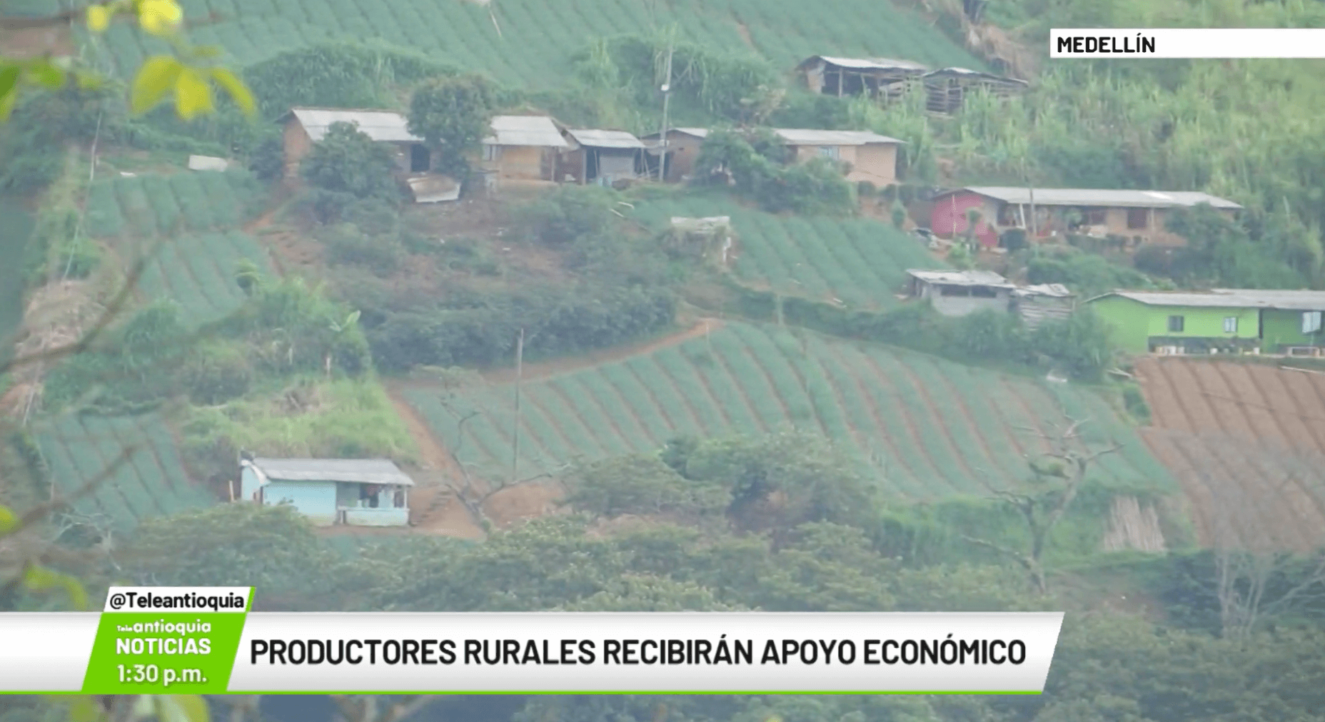 Productores rurales recibirán apoyo económico